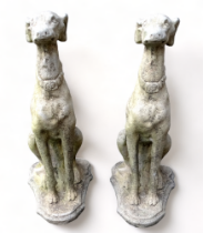 A pair of reconstituted stone dogs - modelled in the form of seated greyhounds, height 78cm.