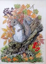 # Doreen EDMOND (British 20th Century) Grey Squirrel on Stump Watercolour Signed lower right