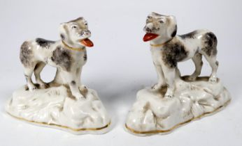 A pair of Chelsea style models of dogs - standing on a rocky base, sponge decorated, with a gilt