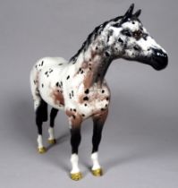 A Beswick Appaloosa stallion - model No. 1772, black, white and mottled brown, height 20cm.