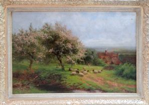 W. A. ELLERY (British 19th/20th Century) Sheep in an Orchard - Weald of Kent Oil on canvas Signed