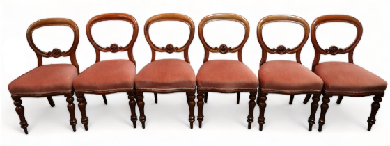 A set of six mahogany balloon back dining chairs - the overstuffed seats on turned tapering legs. (