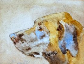 19th/20th Century British School Head Of A Labrador Watercolour Framed and glazed Picture size 8 x