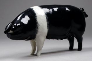 Beswick - a Wessex Saddleback sow, Merrywood Silver Wings, model 1511, height 7cm.