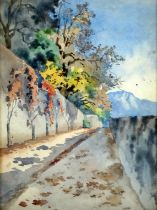 19th/20th Century Continental Quiet Road In Autumn Watercolour Framed and glazed Picture size 28 x