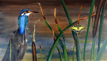 # Timothy GREENWOOD (British b. 1947) Kingfisher and Swallowtail Watercolour Signed lower left,