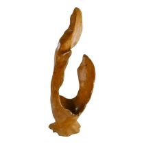 An elm sculptural object - formed from a root, height 78cm.