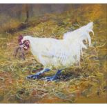 In the manner of Joseph CRAWHALL Plymouth Rock Hen with Worm Bodycolour on paper Framed and glazed