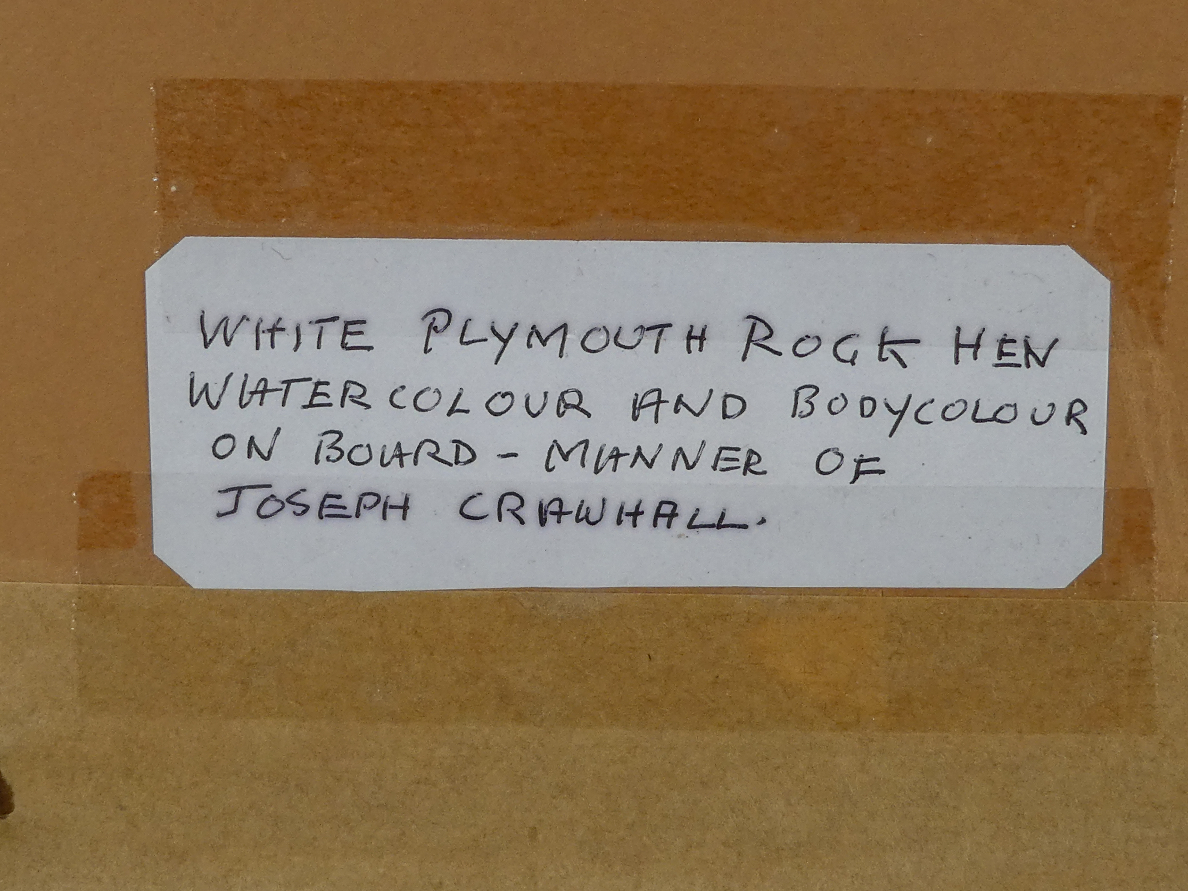 In the manner of Joseph CRAWHALL Plymouth Rock Hen with Worm Bodycolour on paper Framed and glazed - Image 4 of 4