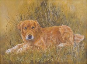 Anne ZOUTSOS (British 20th Century), Golden Retriever, Acrylic on canvas board, Signed and dated '95