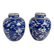 A pair of late 19th century Chinese Kangxi blue and white ginger jars - with covers, with prunus