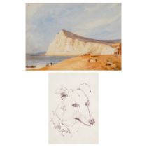 20th Century British School Portrait of a Greyhound Pen on paper Framed Picture size 17 x 12cm