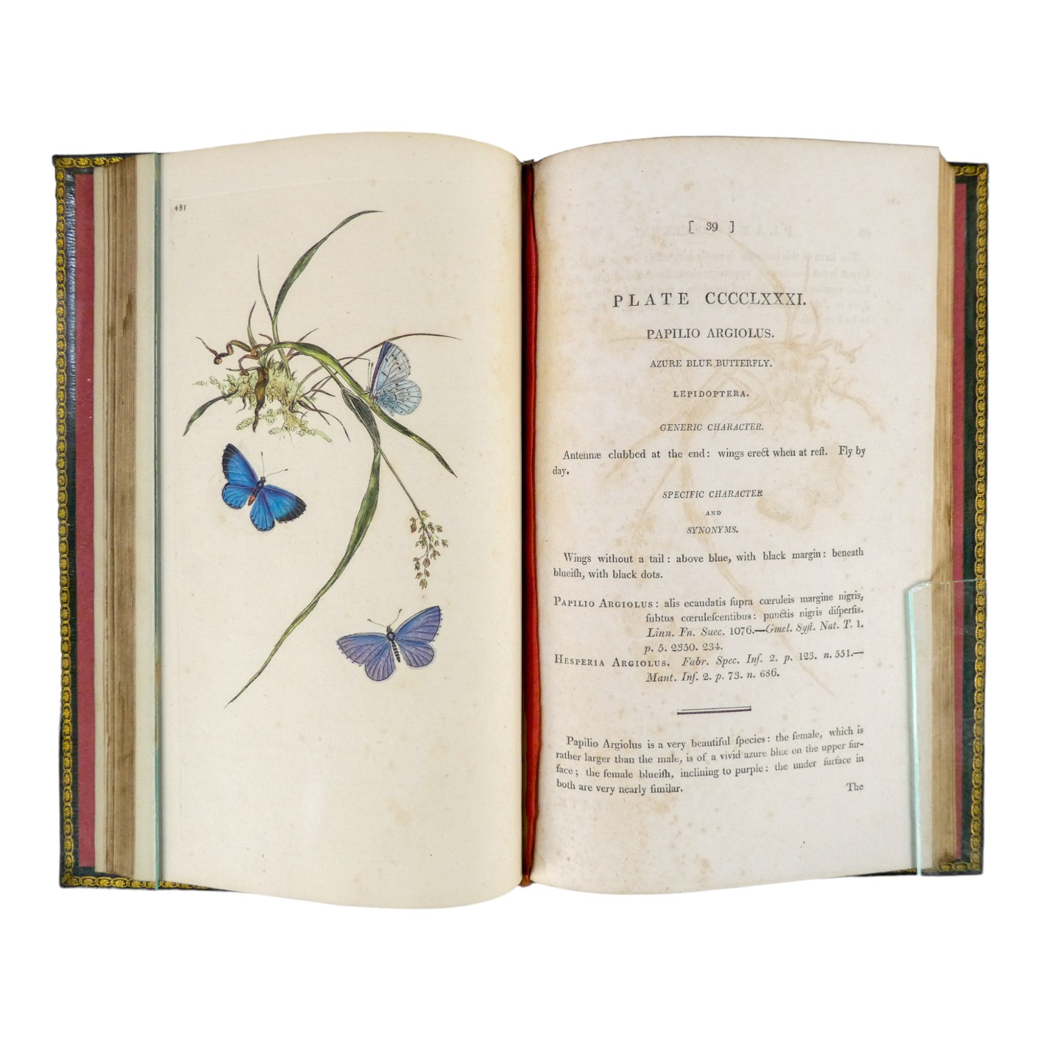 DONOVAN Edward, The Natural History of British Insects ... - published F & C Rivington 62 St Paul' - Image 31 of 33