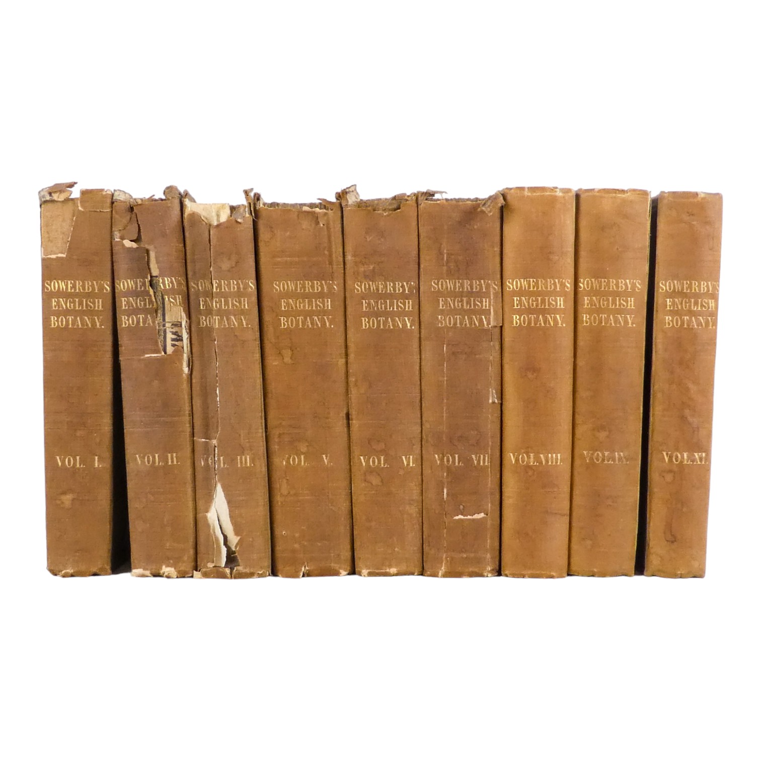 SOWERBY James Edward, English Botany - Richard Taylor 1832-1844, missing volumes 4 & 10, embossed