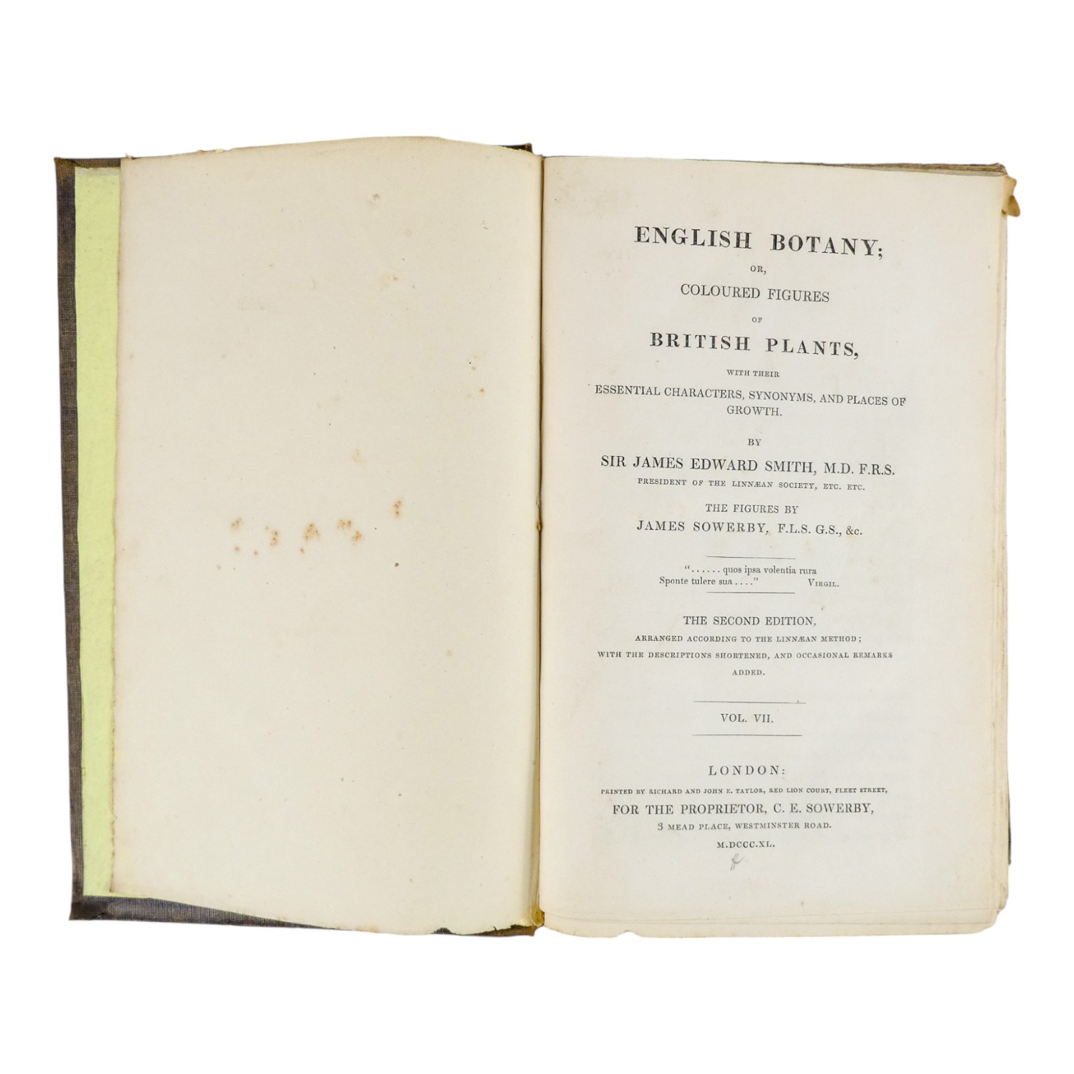 SOWERBY James Edward, English Botany - Richard Taylor 1832-1844, missing volumes 4 & 10, embossed - Image 17 of 24