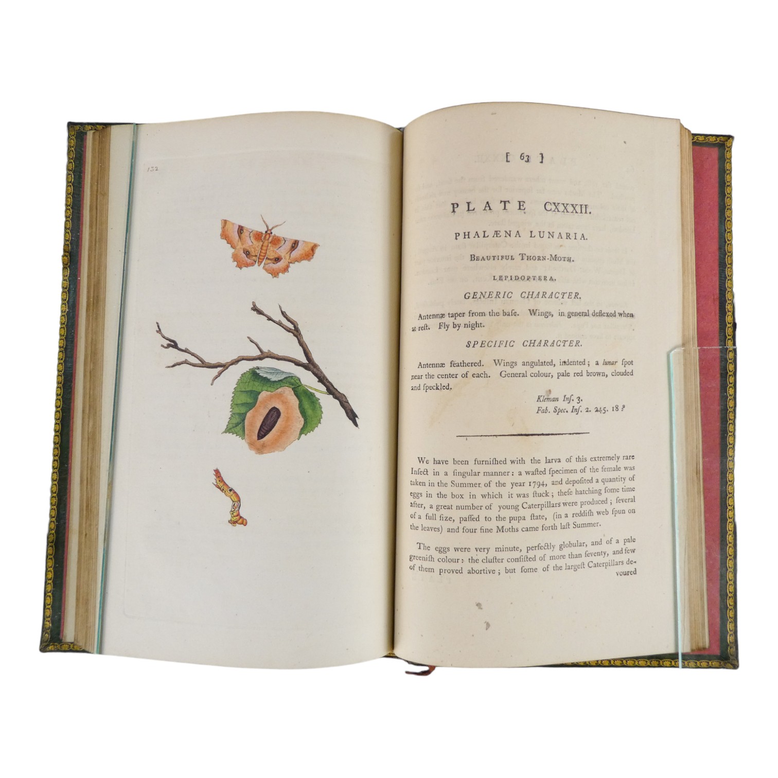 DONOVAN Edward, The Natural History of British Insects ... - published F & C Rivington 62 St Paul' - Image 11 of 33