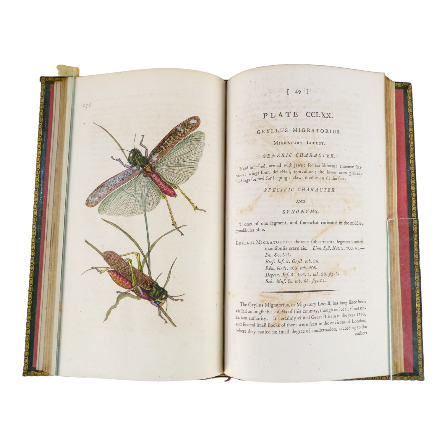 DONOVAN Edward, The Natural History of British Insects ... - published F & C Rivington 62 St Paul' - Image 19 of 33