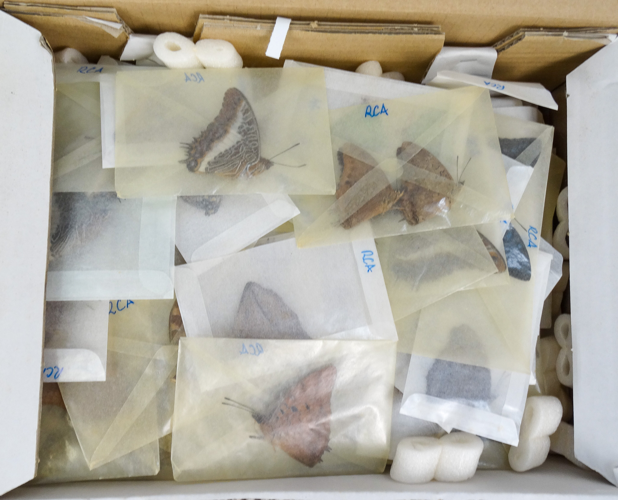 Four boxes of mixed papered butterflies - mostly South African, Paraguay and Peru - Image 2 of 3