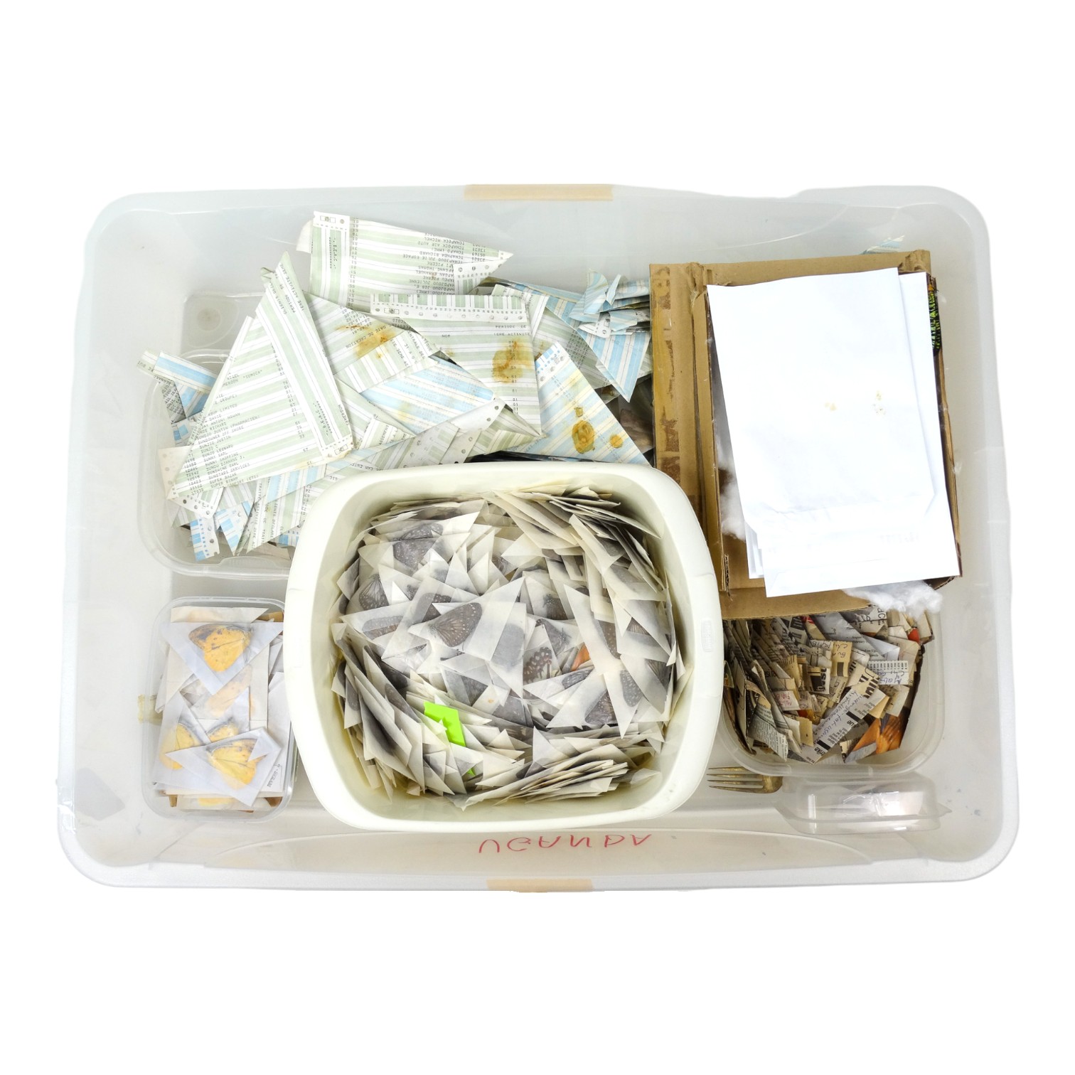 A box of mixed papered butterflies - mostly Uganda