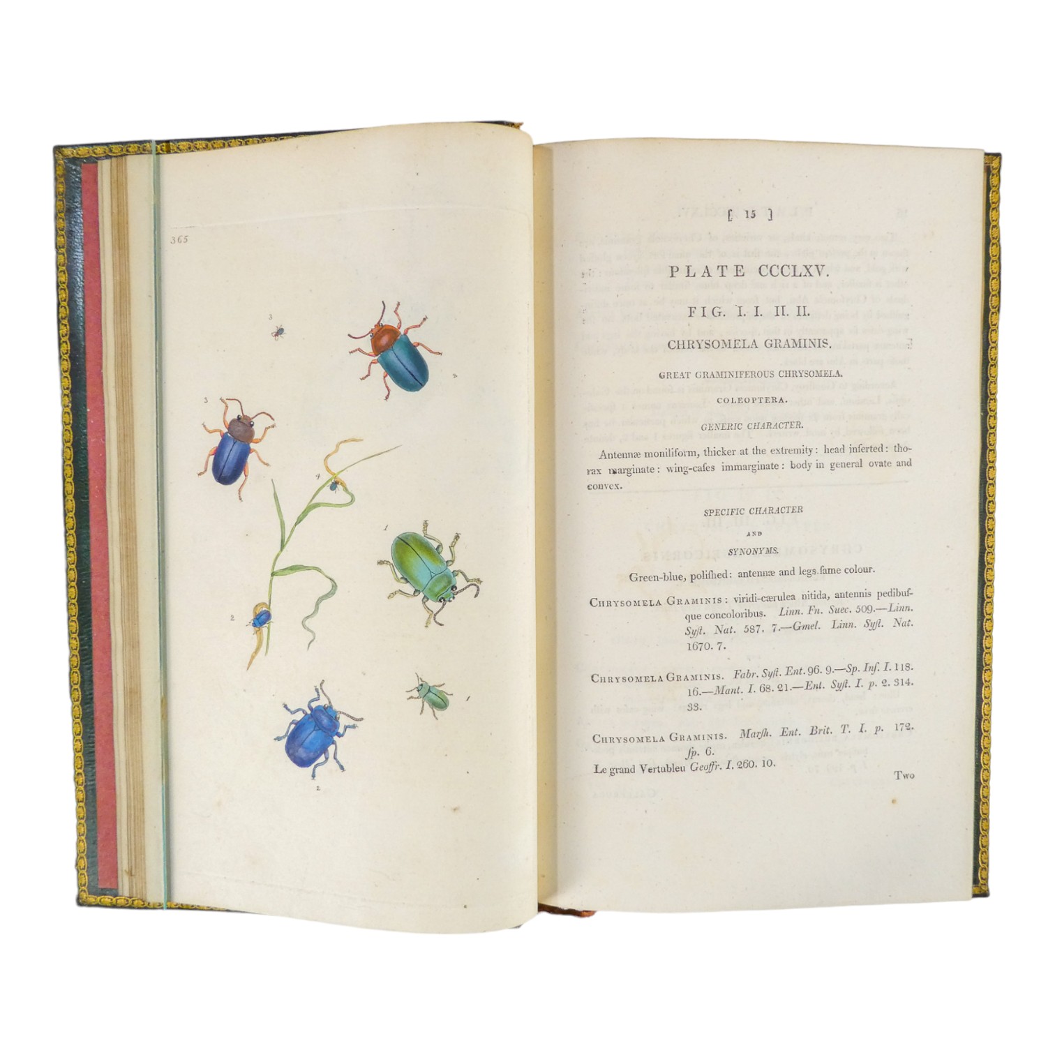 DONOVAN Edward, The Natural History of British Insects ... - published F & C Rivington 62 St Paul' - Image 25 of 33