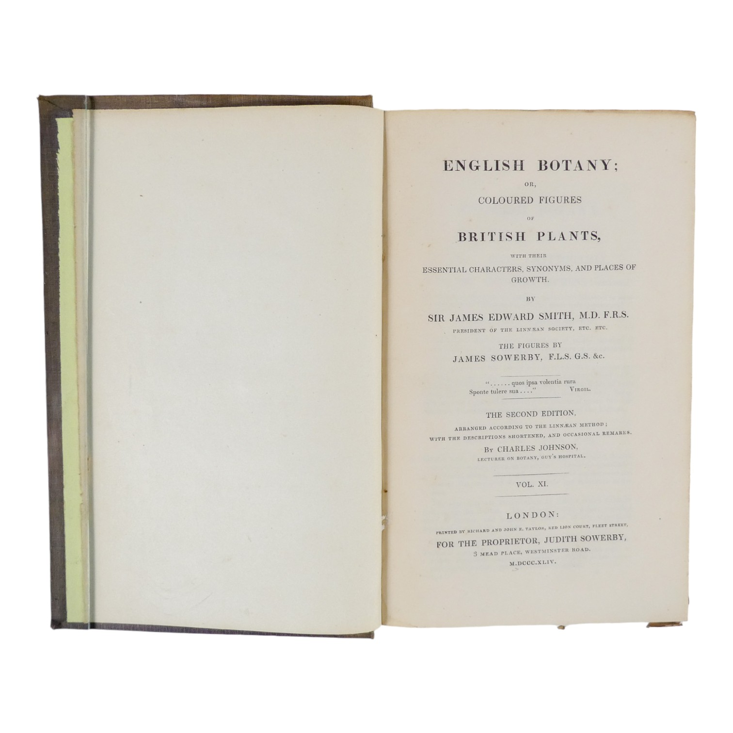 SOWERBY James Edward, English Botany - Richard Taylor 1832-1844, missing volumes 4 & 10, embossed - Image 23 of 24