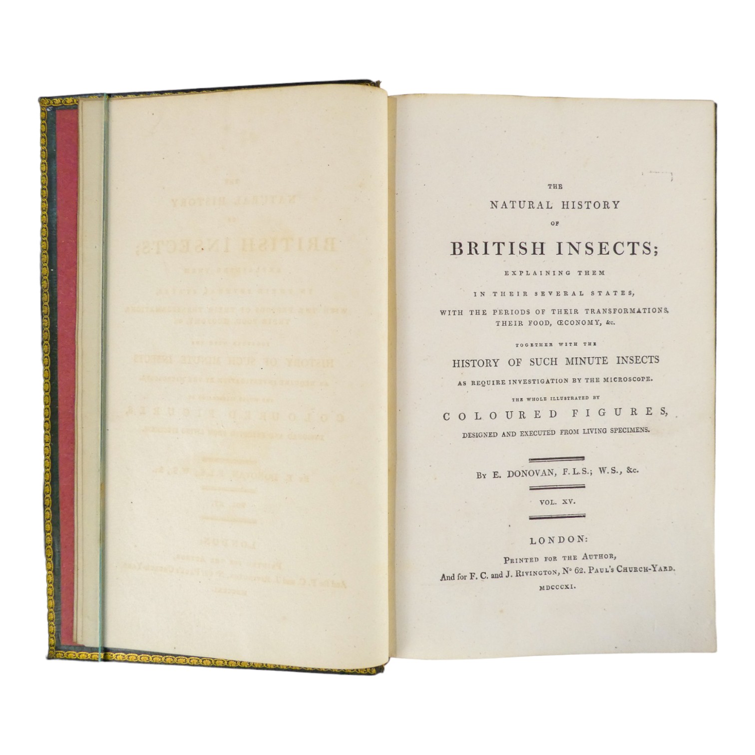 DONOVAN Edward, The Natural History of British Insects ... - published F & C Rivington 62 St Paul' - Image 32 of 33