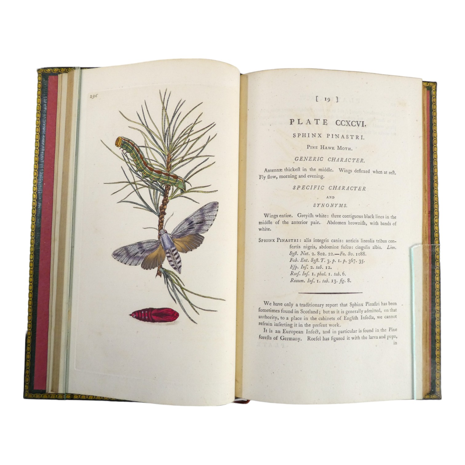 DONOVAN Edward, The Natural History of British Insects ... - published F & C Rivington 62 St Paul' - Image 21 of 33