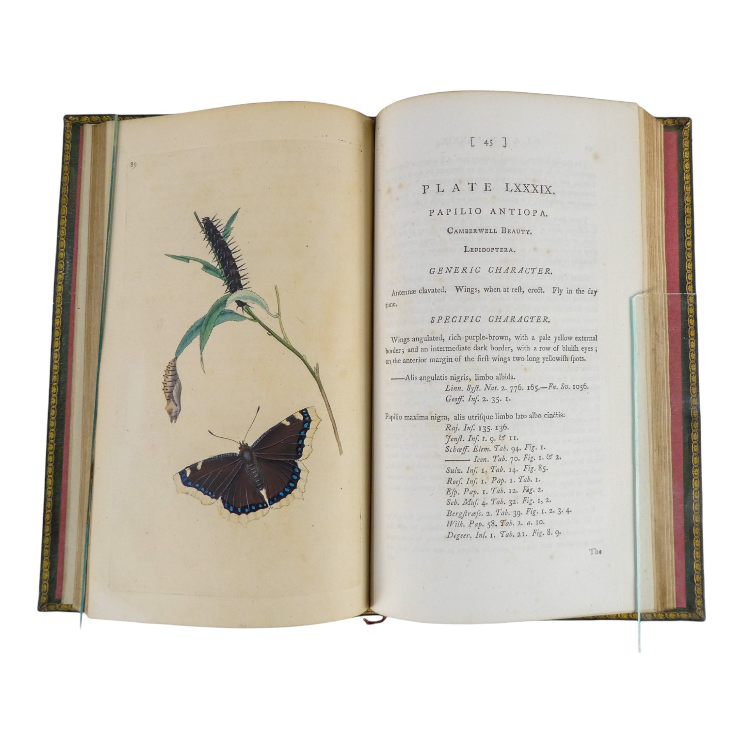 DONOVAN Edward, The Natural History of British Insects ... - published F & C Rivington 62 St Paul' - Image 9 of 33