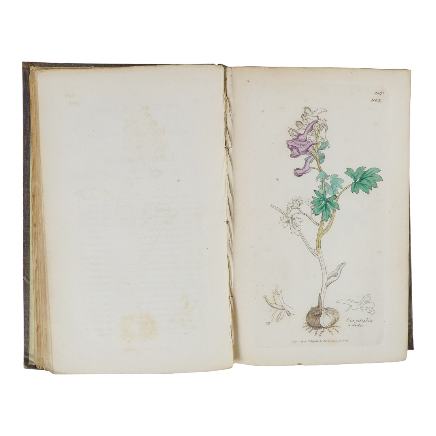 SOWERBY James Edward, English Botany - Richard Taylor 1832-1844, missing volumes 4 & 10, embossed - Image 16 of 24