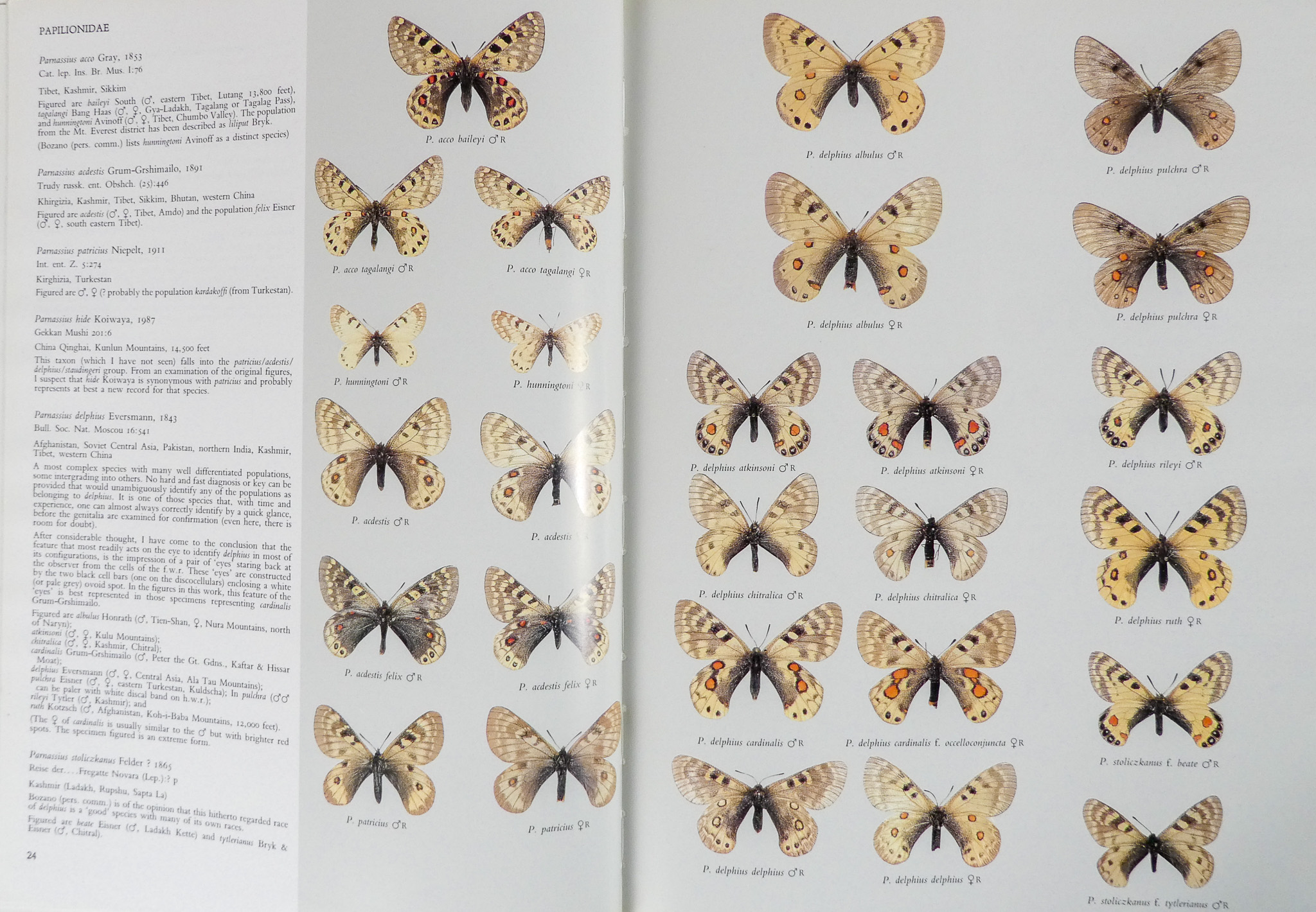 D'ABRERA Bernard, Butterflies of the Holarctic Region - Hill House 1993, three volumes cloth binding - Image 4 of 10