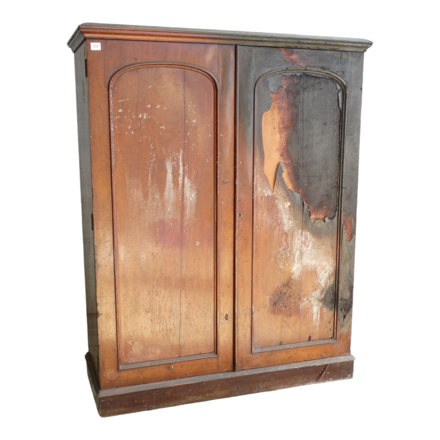 A late Victorian mahogany collector's cabinet - with a pair of arched panel doors enclosing an