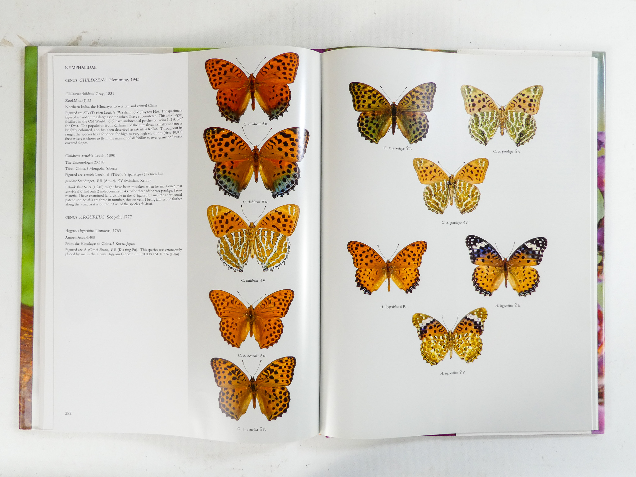 D'ABRERA Bernard, Butterflies of the Holarctic Region - Hill House 1993, three volumes cloth binding - Image 7 of 10