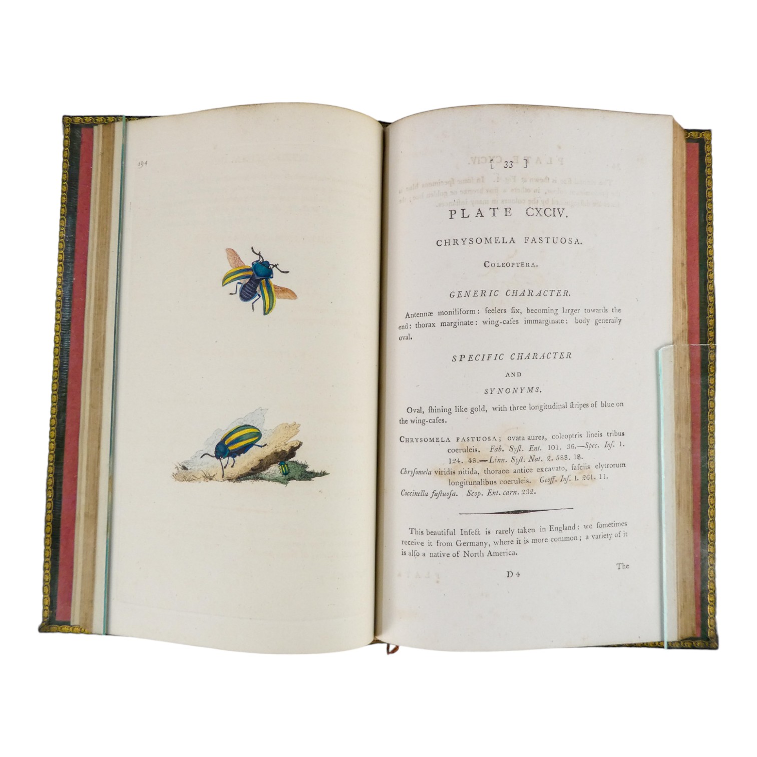 DONOVAN Edward, The Natural History of British Insects ... - published F & C Rivington 62 St Paul' - Image 15 of 33