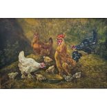 Paul Schouten: painting (o/c) 'chicken' (*)