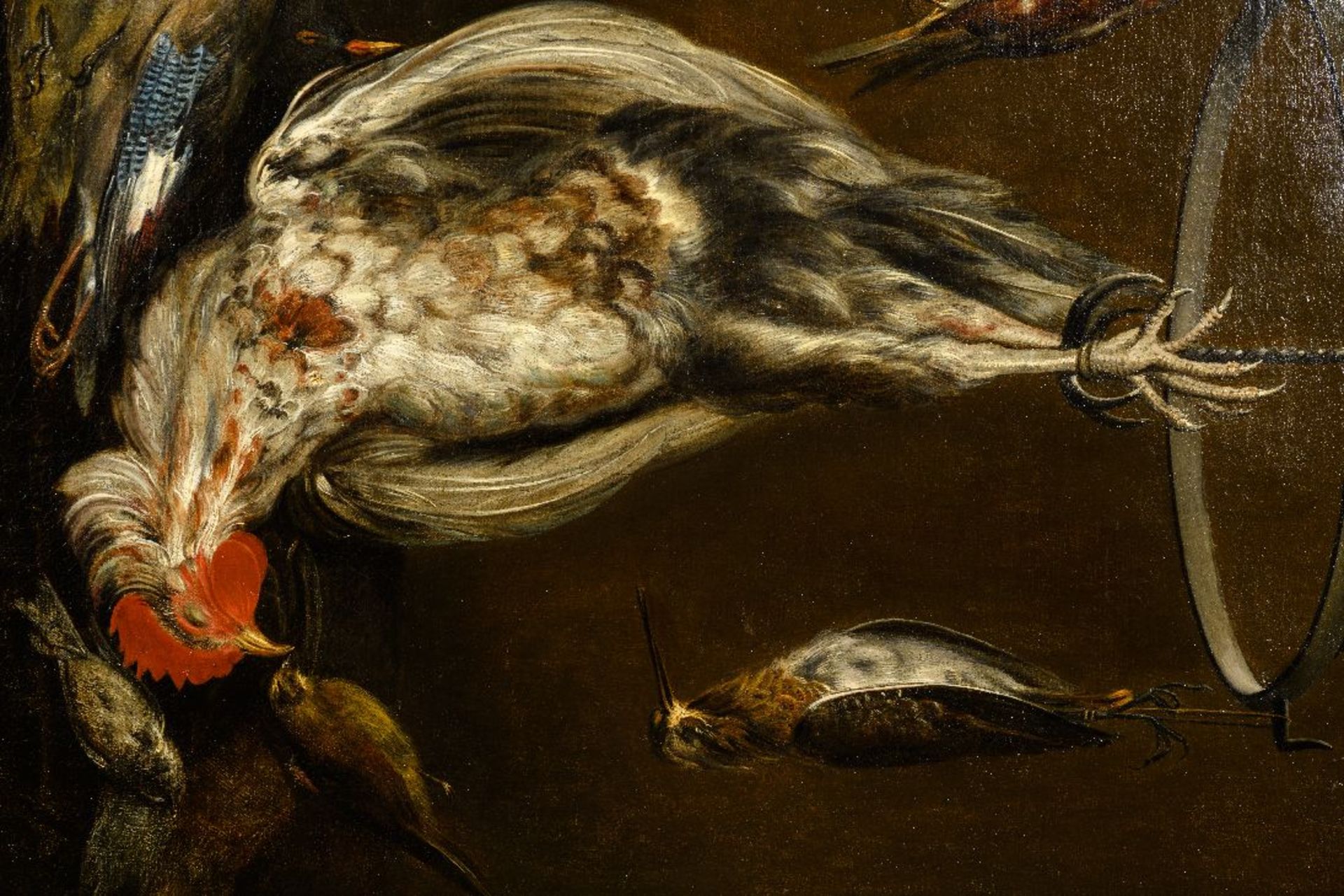 G. Allard (17th century): painting (o/c) 'still life with wildlife' - Image 6 of 9