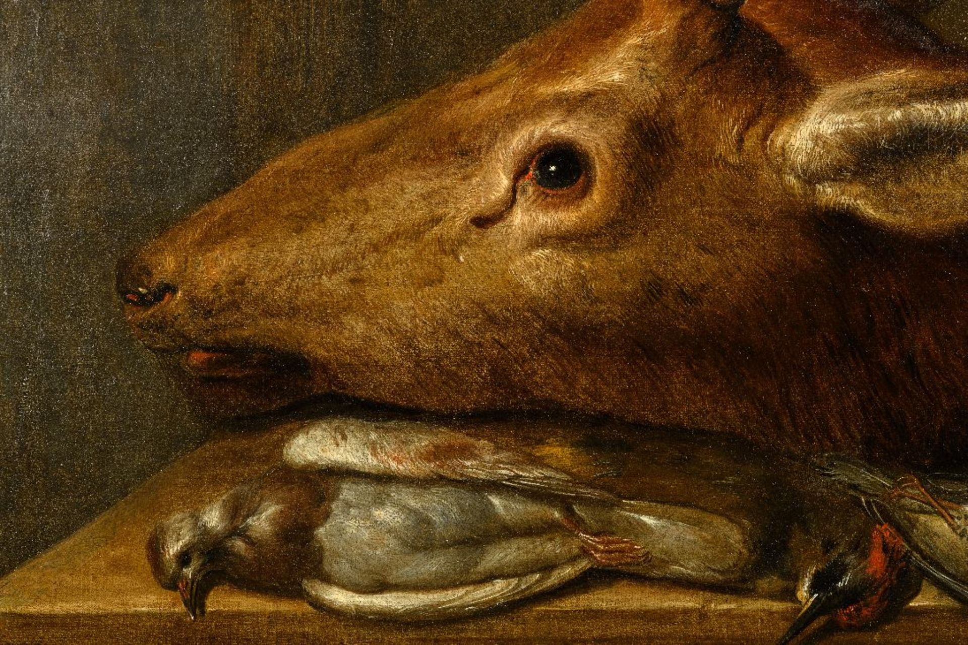 G. Allard (17th century): painting (o/c) 'still life with wildlife' - Image 3 of 9