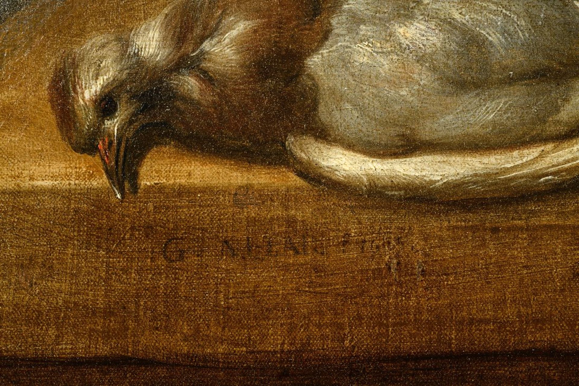 G. Allard (17th century): painting (o/c) 'still life with wildlife' - Image 4 of 9