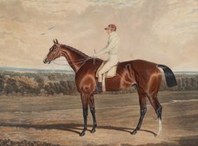 19TH CENTURY AQUATINT OF RACE HORSE AND JOCKEY, hand coloured, 30 x 40 cm, double mounted, framed