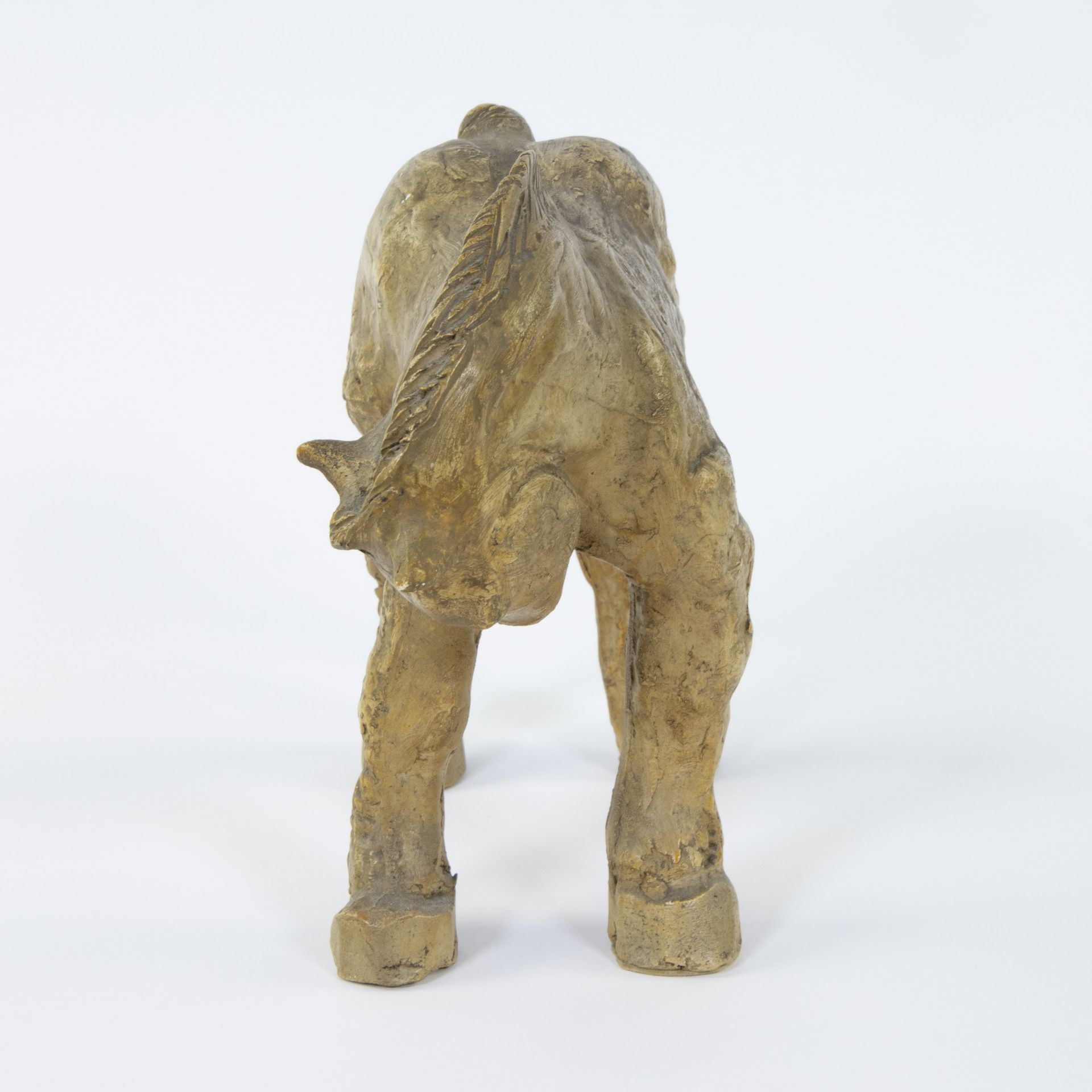 Domien INGELS (1881-1946), terracotta horse, unique specimen - Image 5 of 5