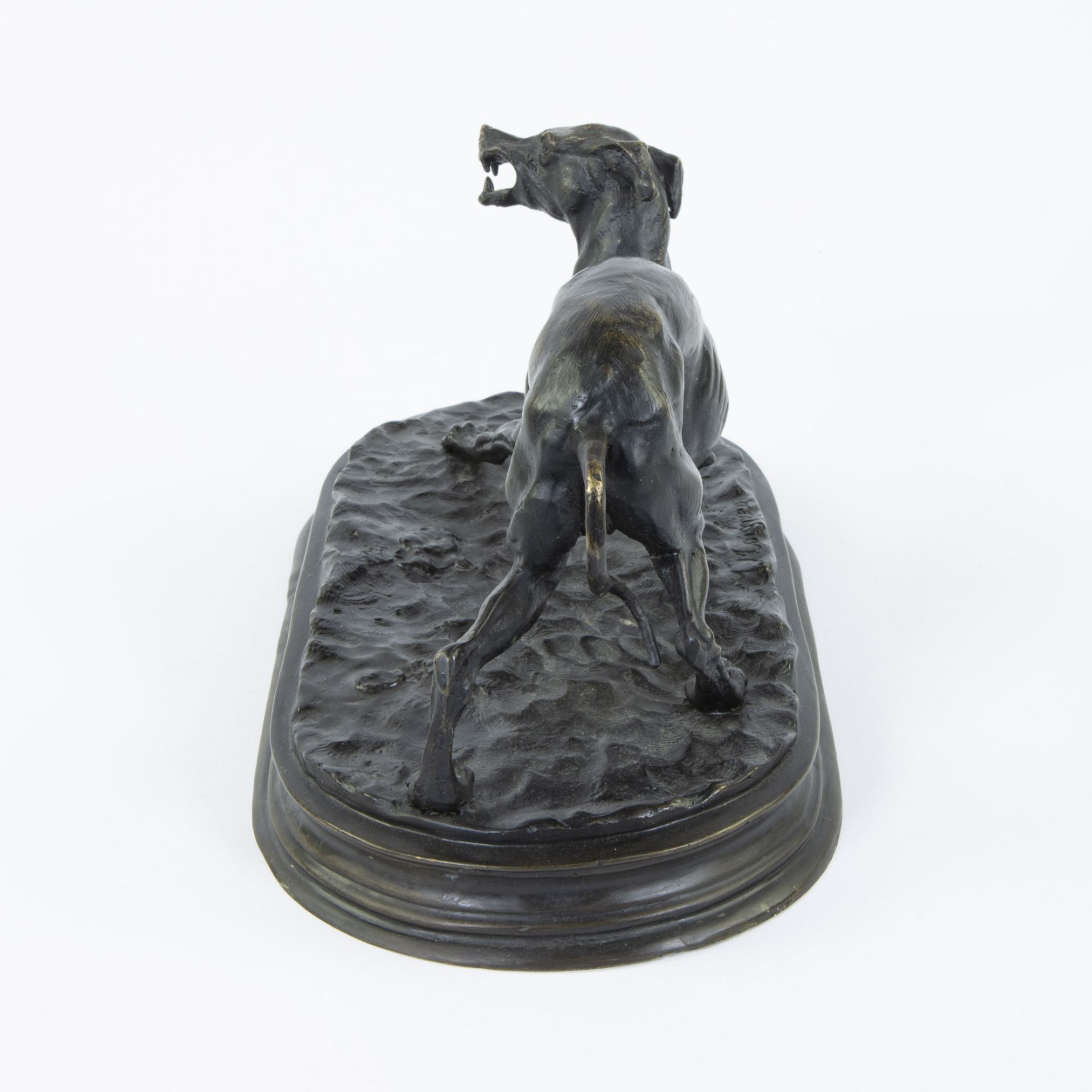 Jules MOIGNIEZ (1835-1894), bronze sculpture of a hound dog, signed - Image 4 of 5