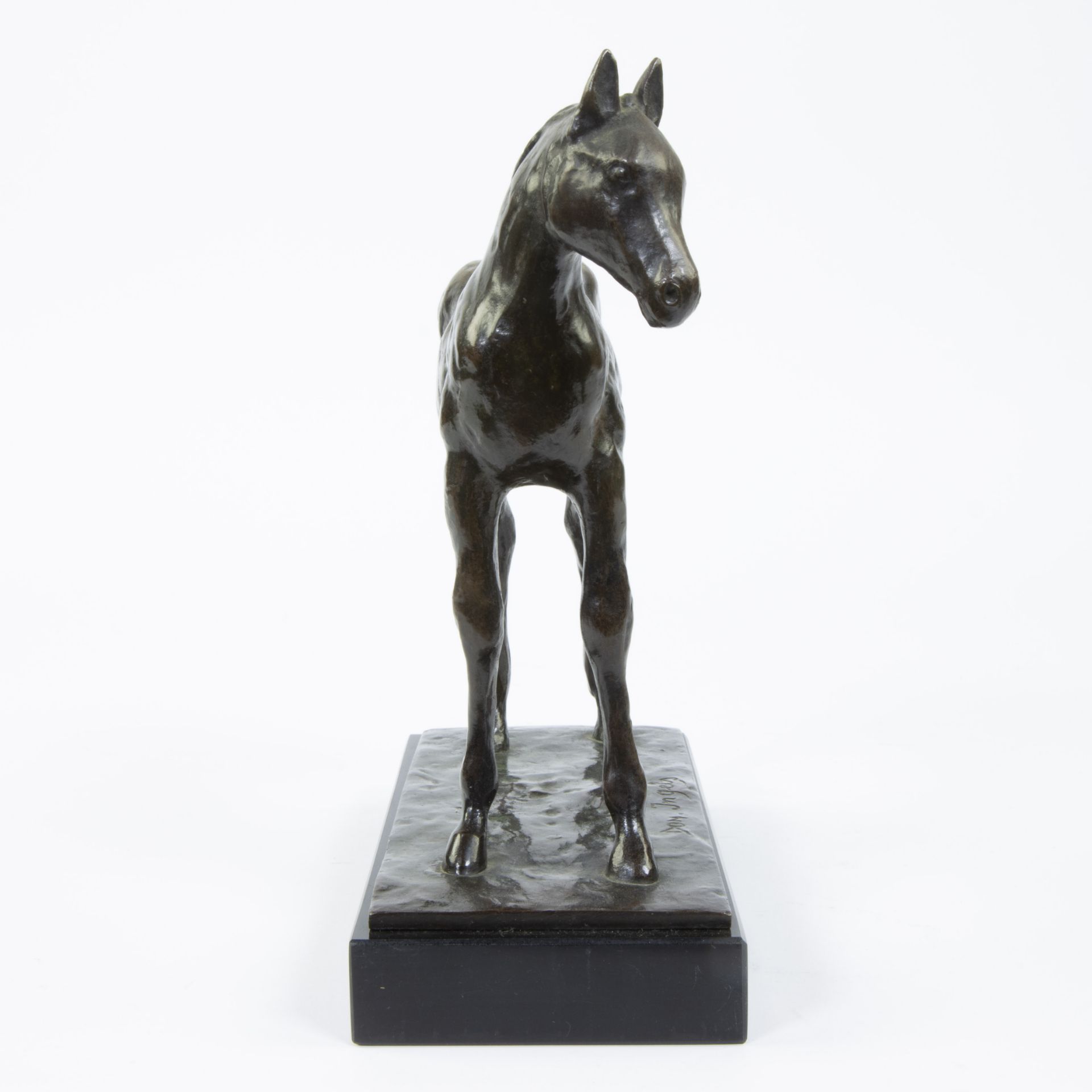 Domien INGELS (1881-1946), bronze horse, signed - Bild 3 aus 6