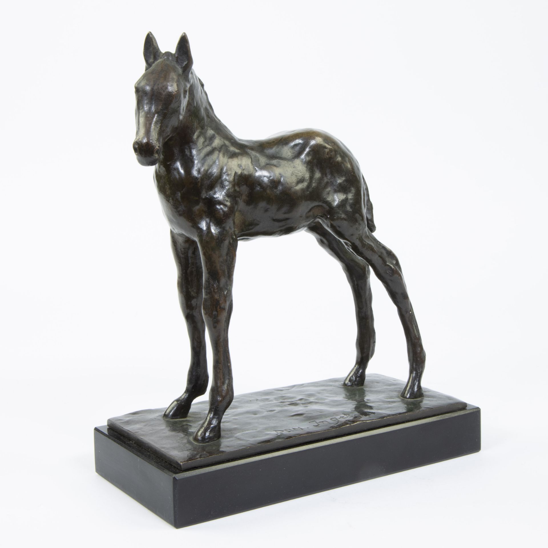 Domien INGELS (1881-1946), bronze horse, signed - Bild 2 aus 6