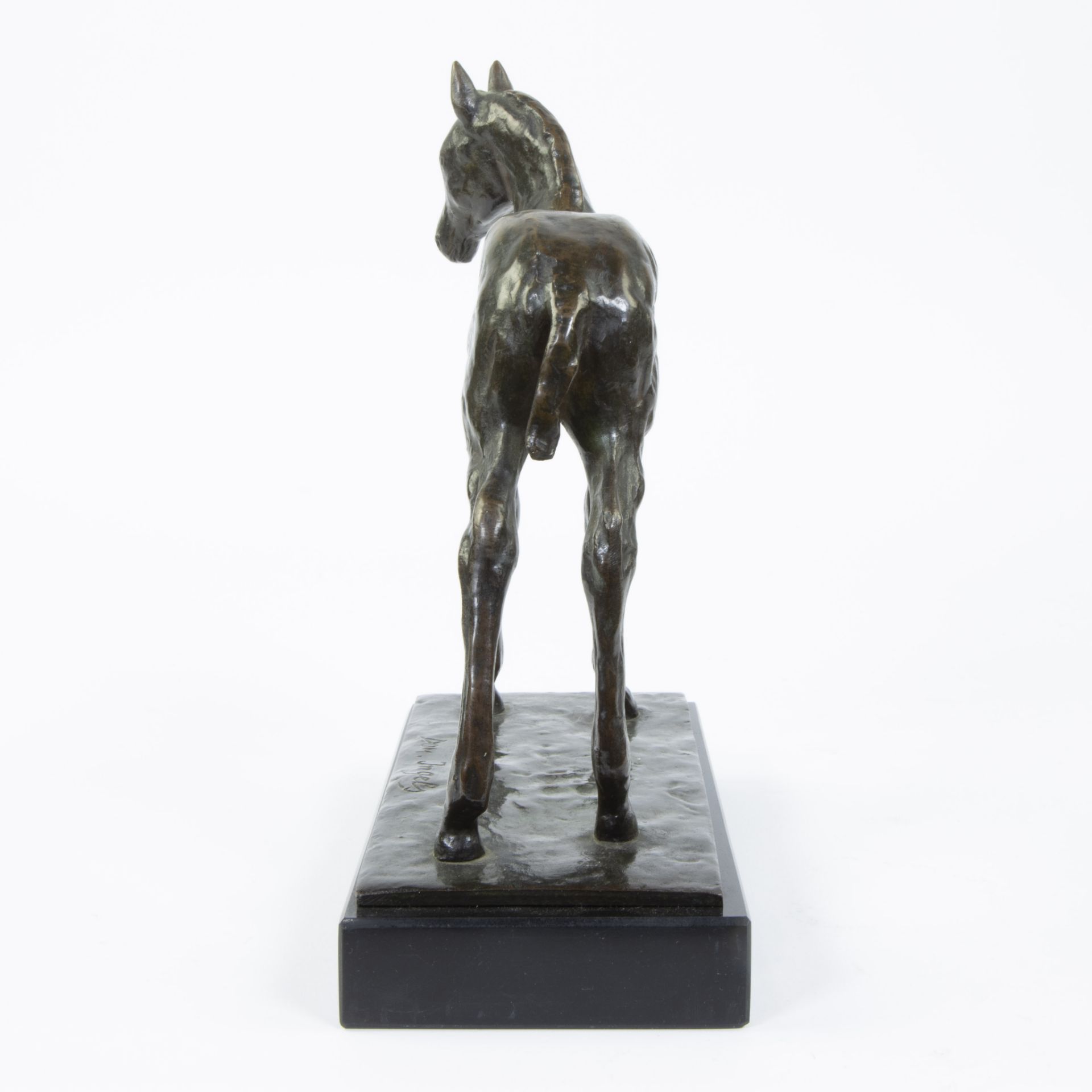 Domien INGELS (1881-1946), bronze horse, signed - Bild 5 aus 6