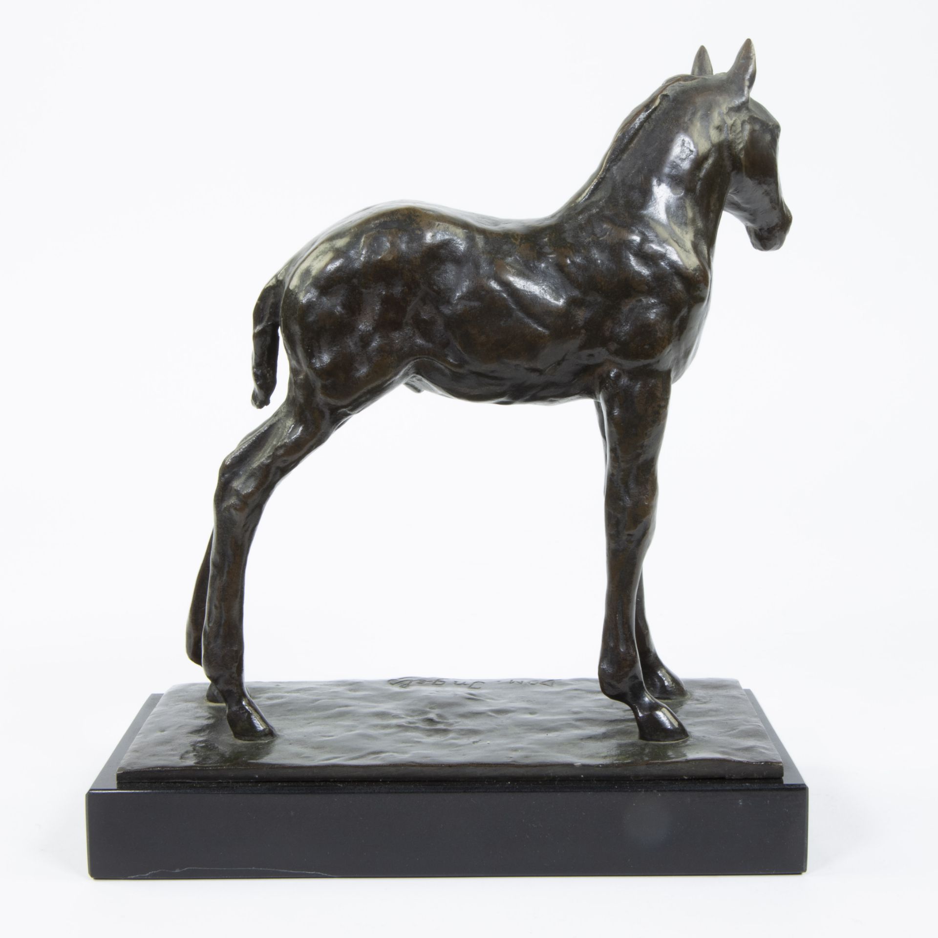 Domien INGELS (1881-1946), bronze horse, signed - Bild 4 aus 6