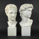 2 plaster busts David and Roman head