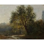 Alexandre CALAME (1810-1864), oil on canvas Landscape with river, signed