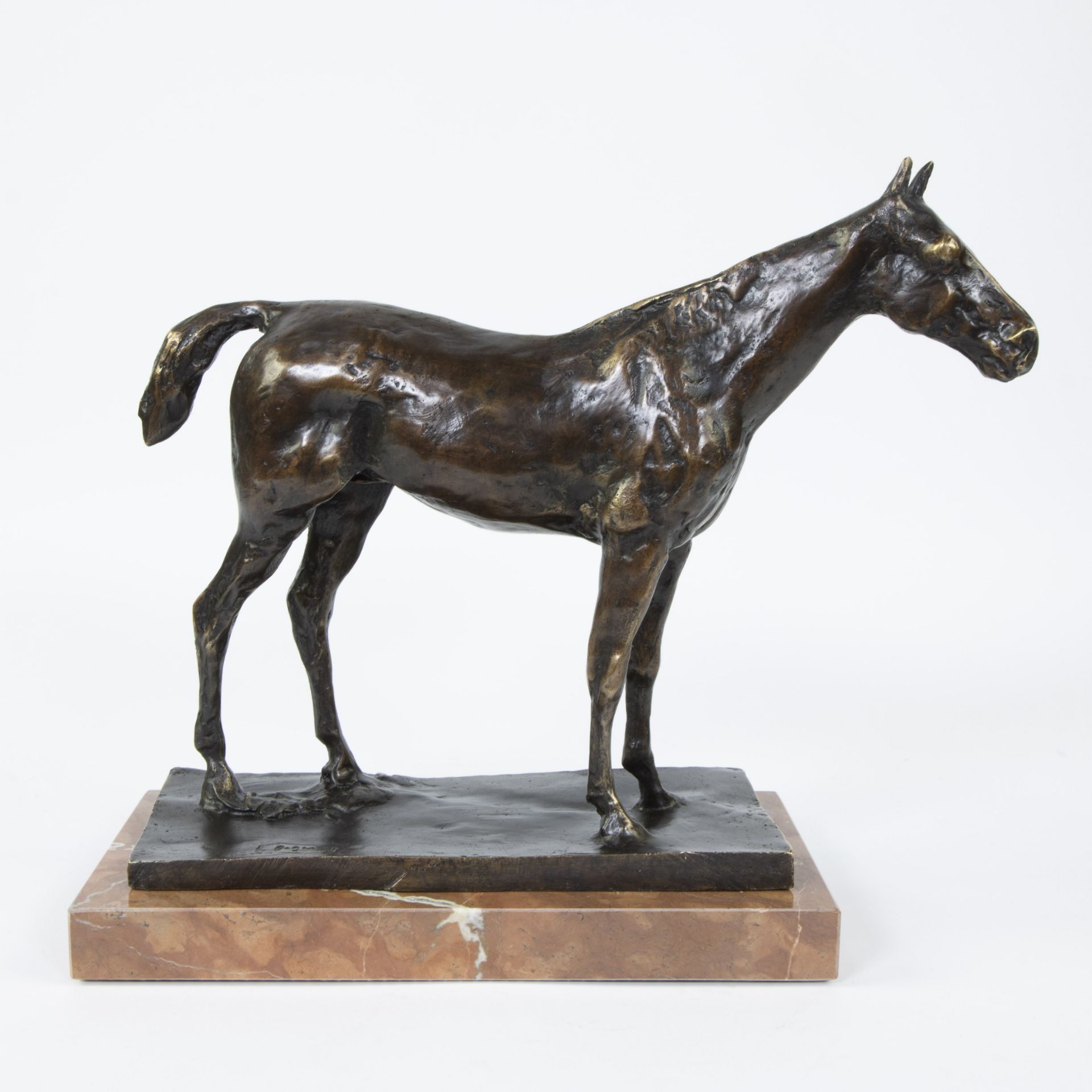 Edgar DEGAS (1834-1917), sculpture in brown patinated bronze Cheval à l'arret, numbered XV/XXIV and - Image 5 of 5