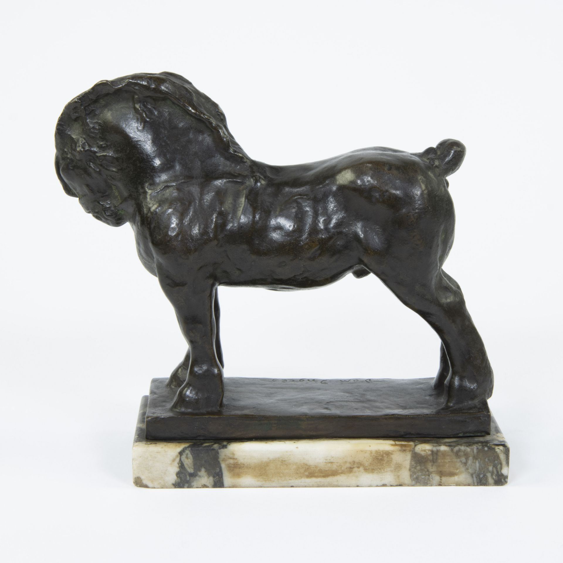 Domien INGELS (1881-1946), bronze horse, signed - Image 4 of 6