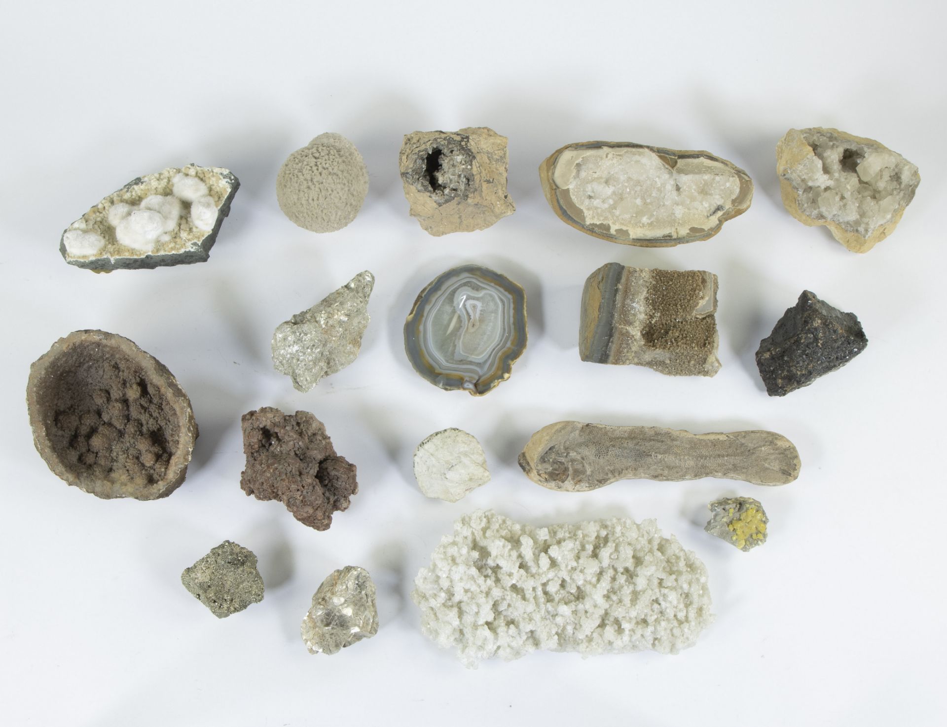 Collection of rocks and fossils - Image 2 of 2