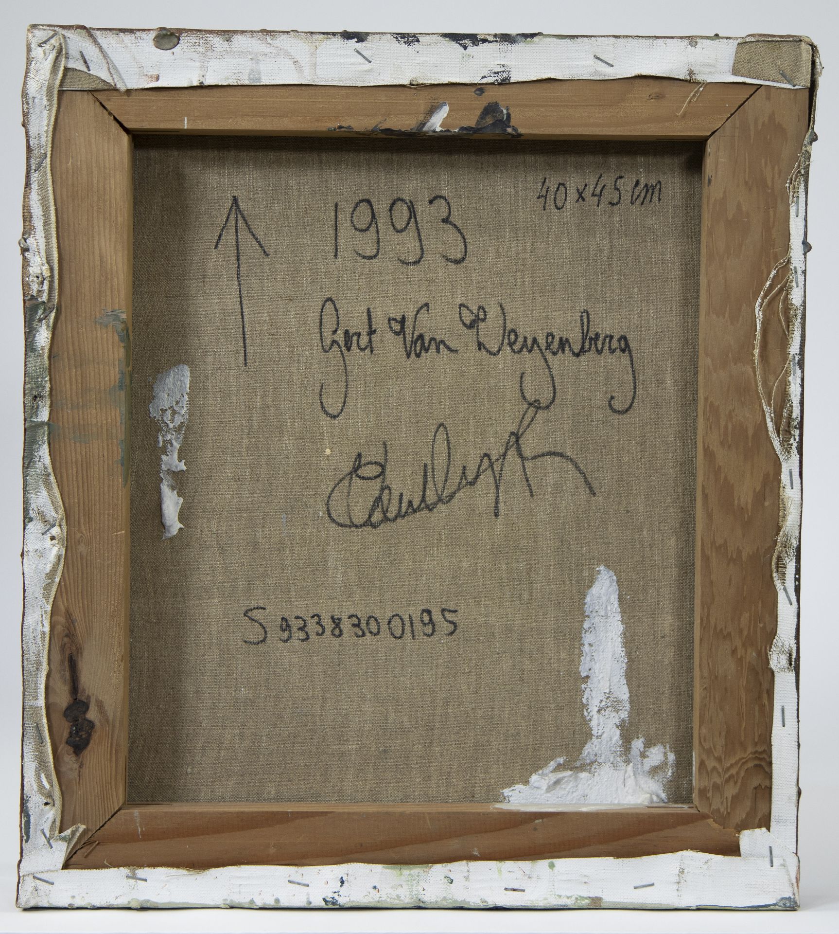 Gert VAN WEYENBERG (1966), oil on canvas Untitled, signed and dated 1993 verso - Image 3 of 4